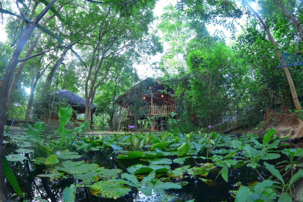 Habarana Tree House Mutu Village Ngoại thất bức ảnh